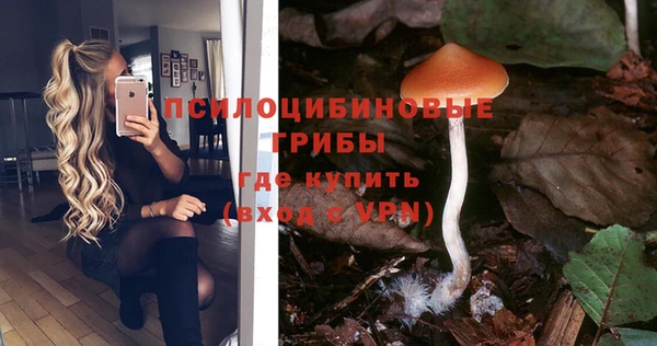 метамфетамин Тында